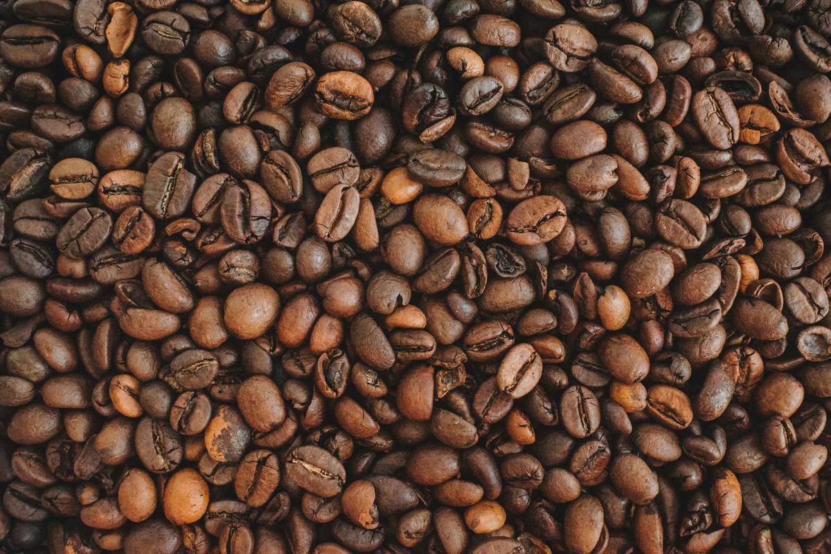 rg daily organic coffee: Your Skin’s Secret Morning Ritual